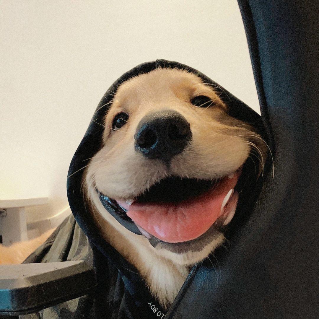 Nik-