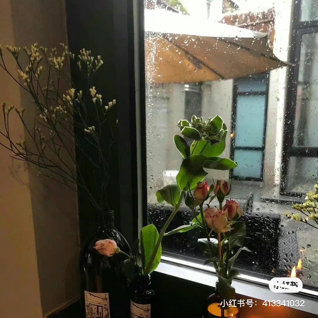 大头黑