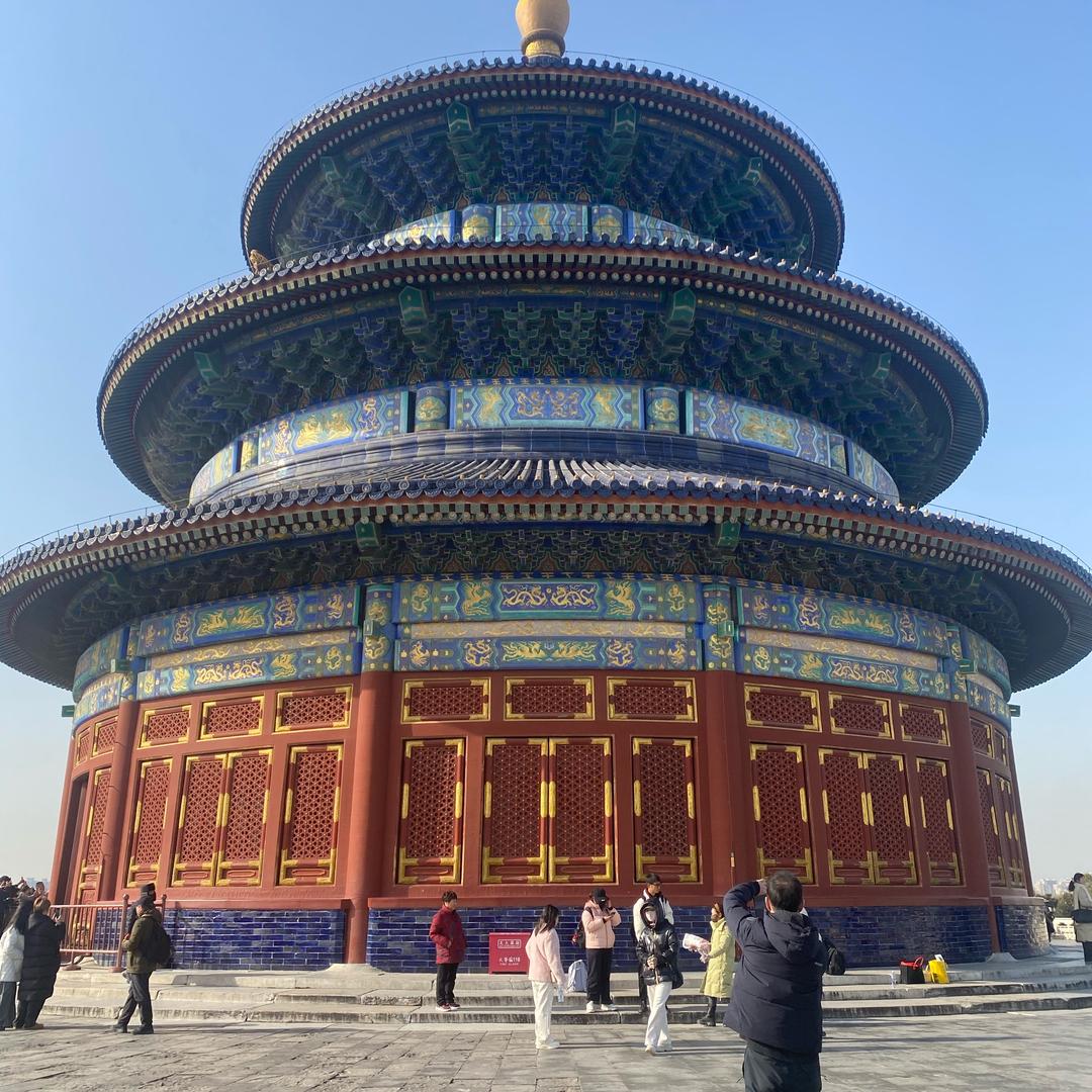 我是弹簧不是柿子