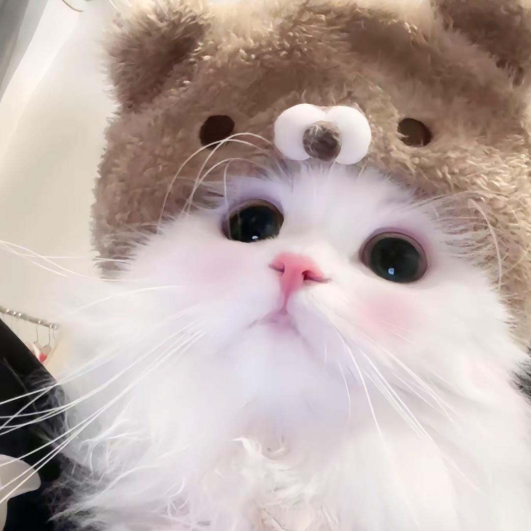 Agony🧸