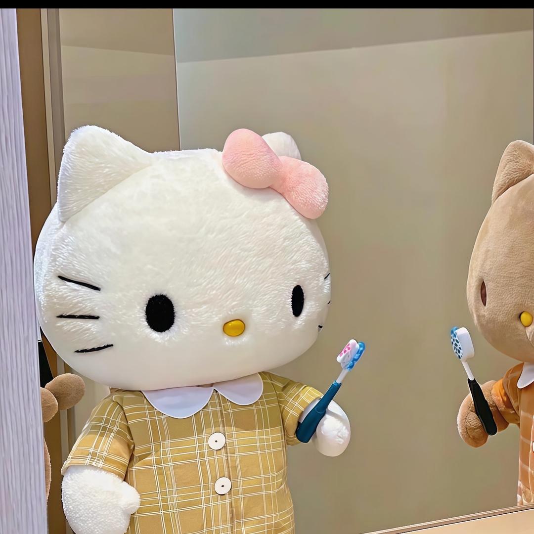 Aisha 🐱（毕业论文已过版）