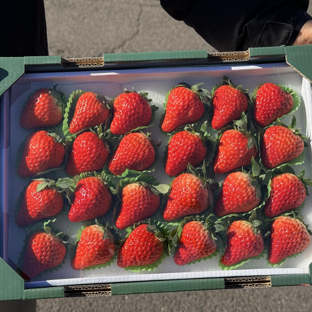 鑫品草莓
