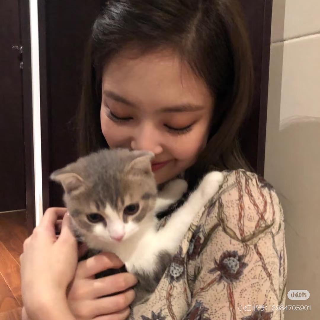 小猫仔玩具店