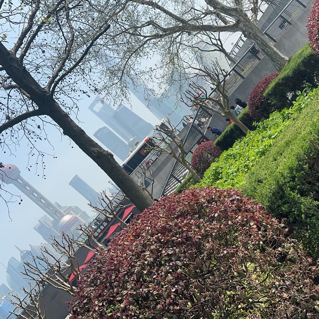 汉堡包