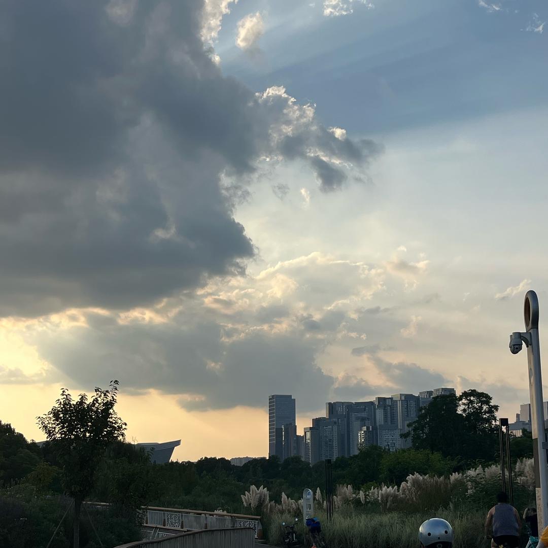 磨毛四件套纯棉100%全棉