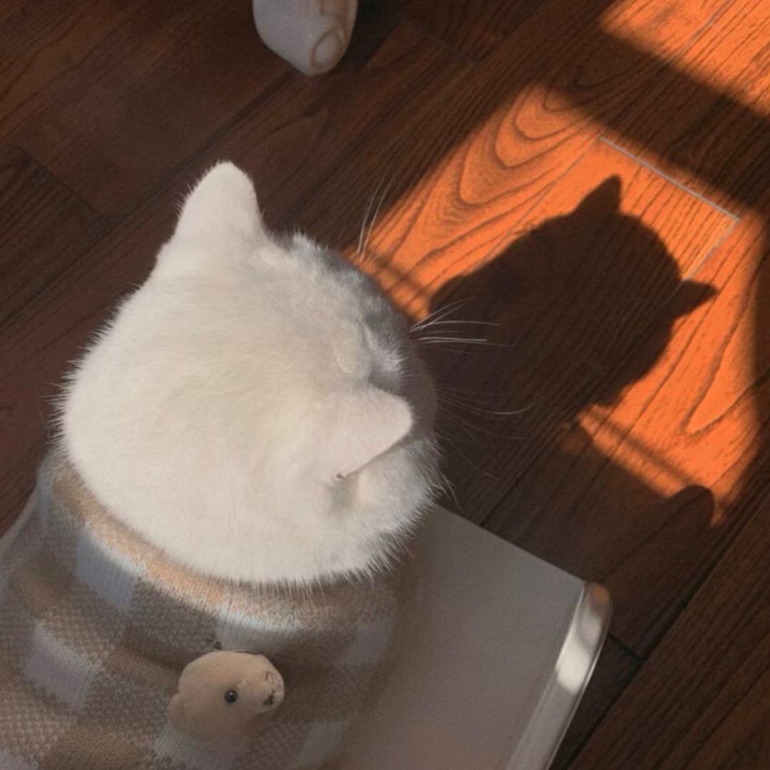 梧桐诗.