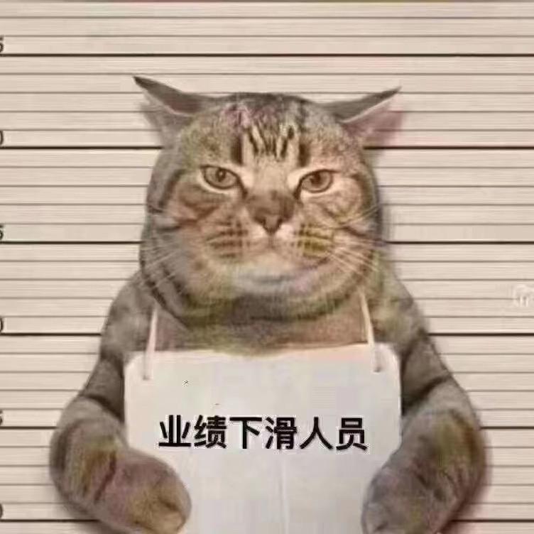 平常人路过