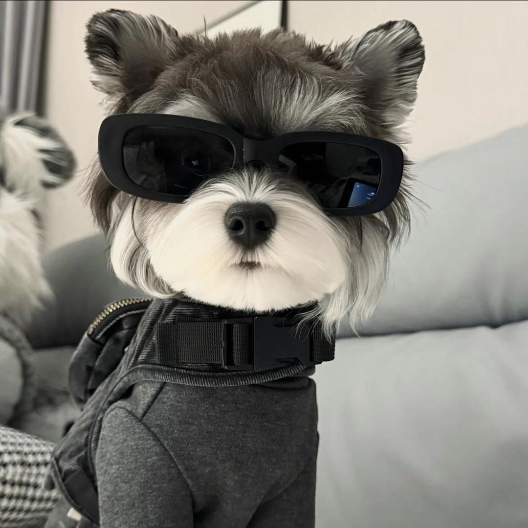 9286
