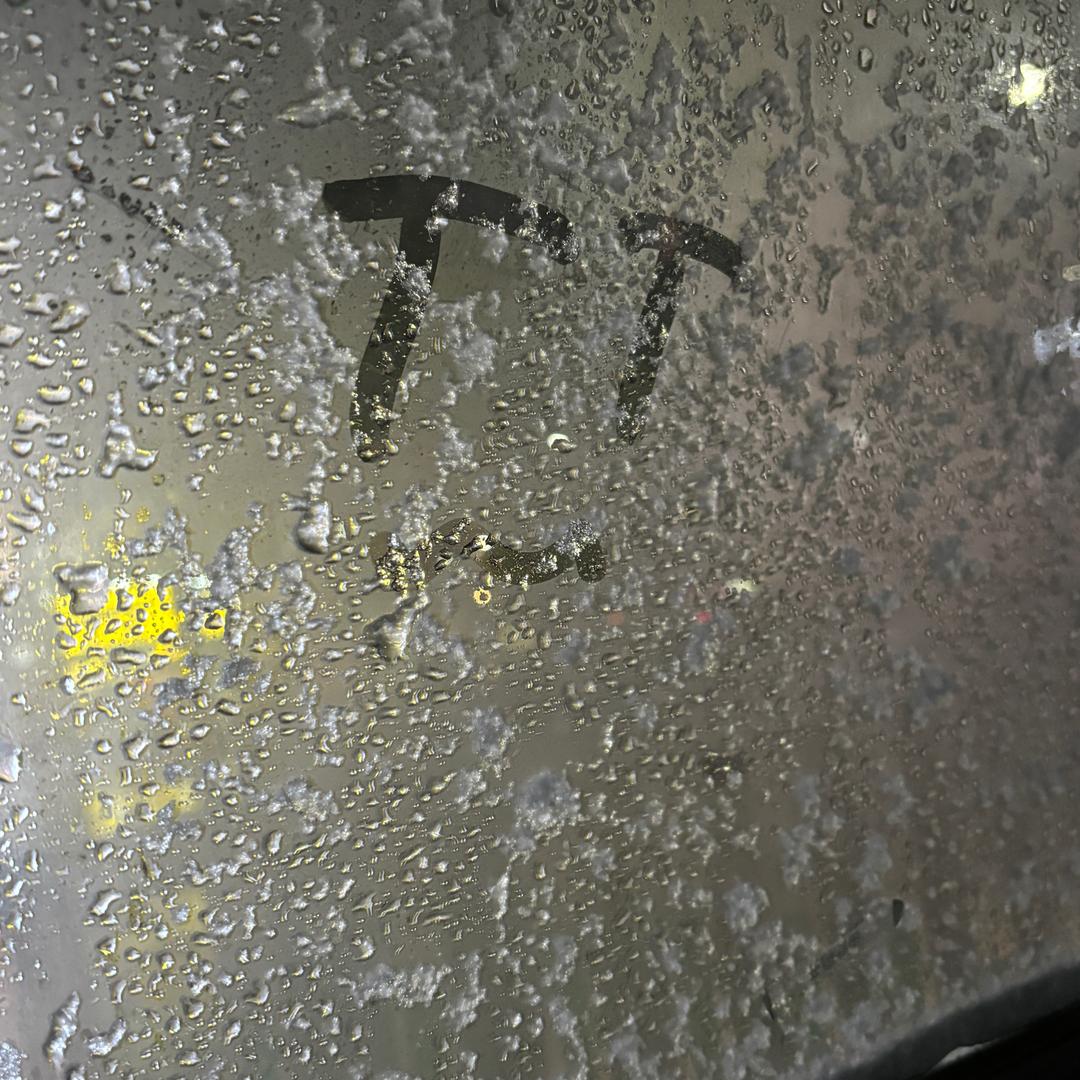 TvT