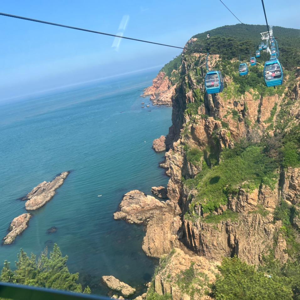 🐠鈺鈺大咖🐠