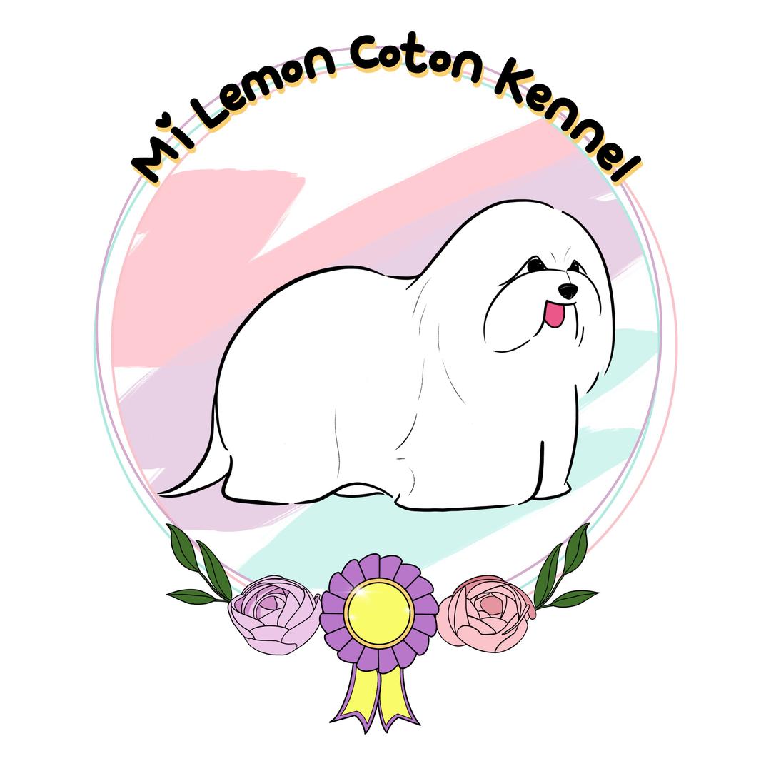 麦乐萌棉花面纱