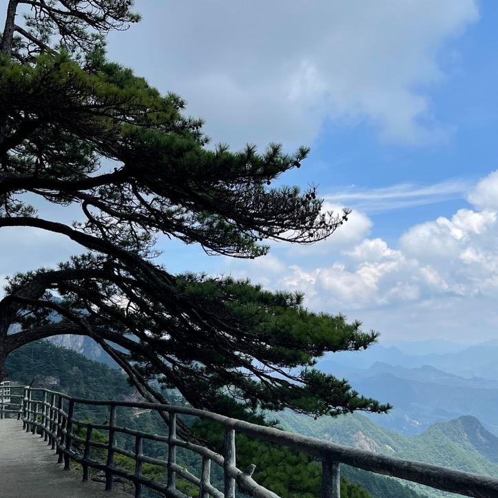 楚风留香