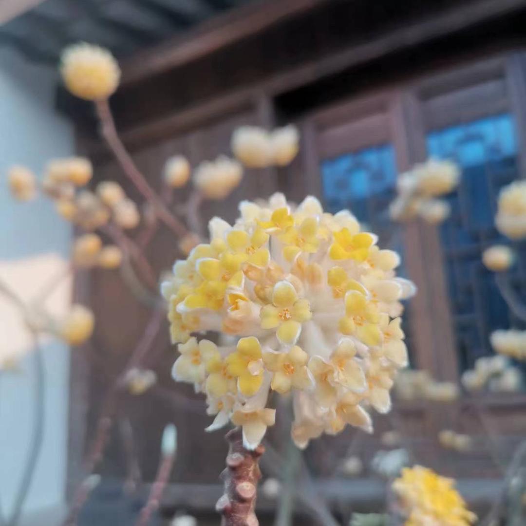 🌈熙熙果冻🌸