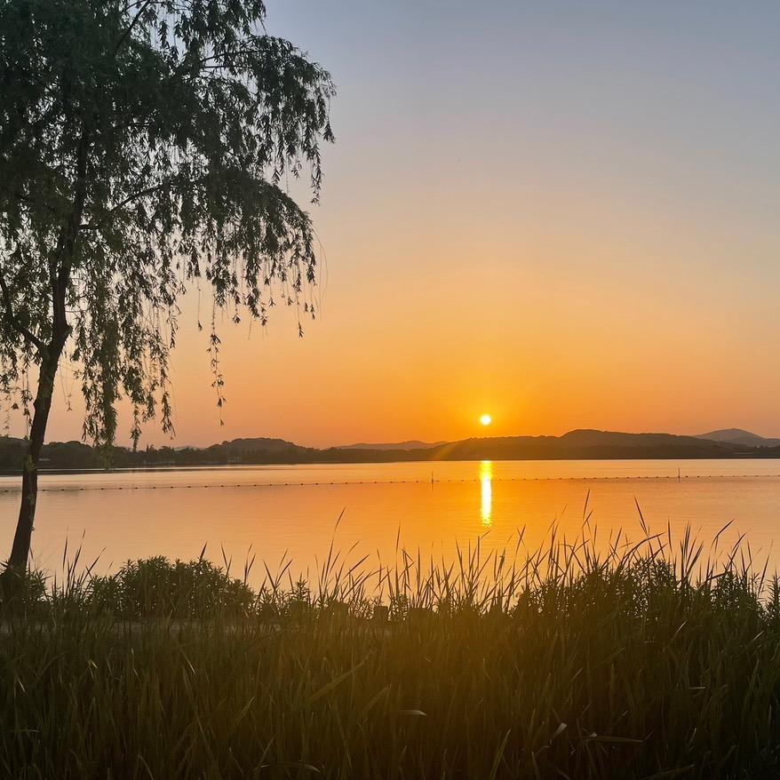 陈老师钢结构造价