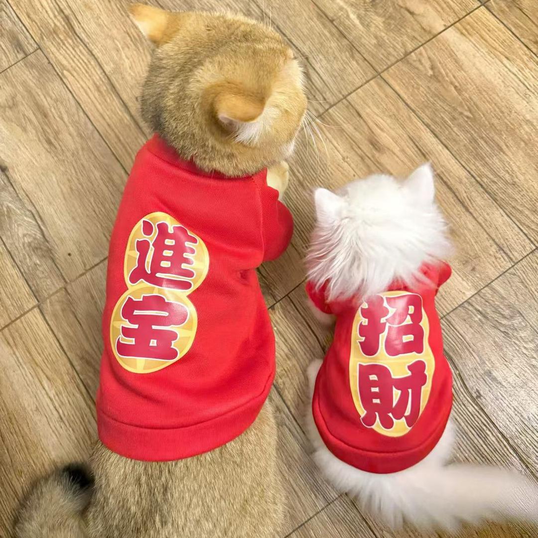 🛍️云儿