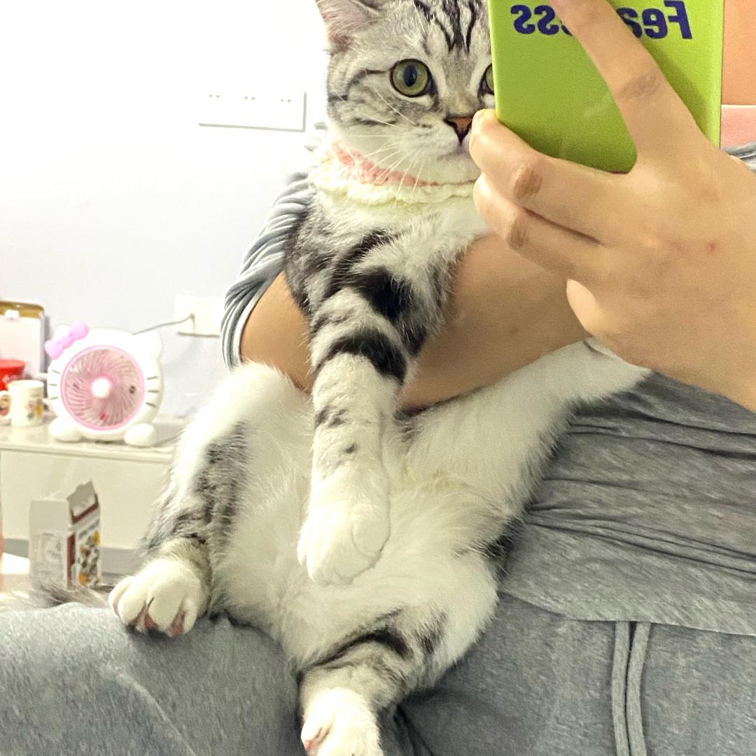 是大锤和条条啊