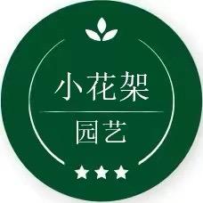 小花架园艺