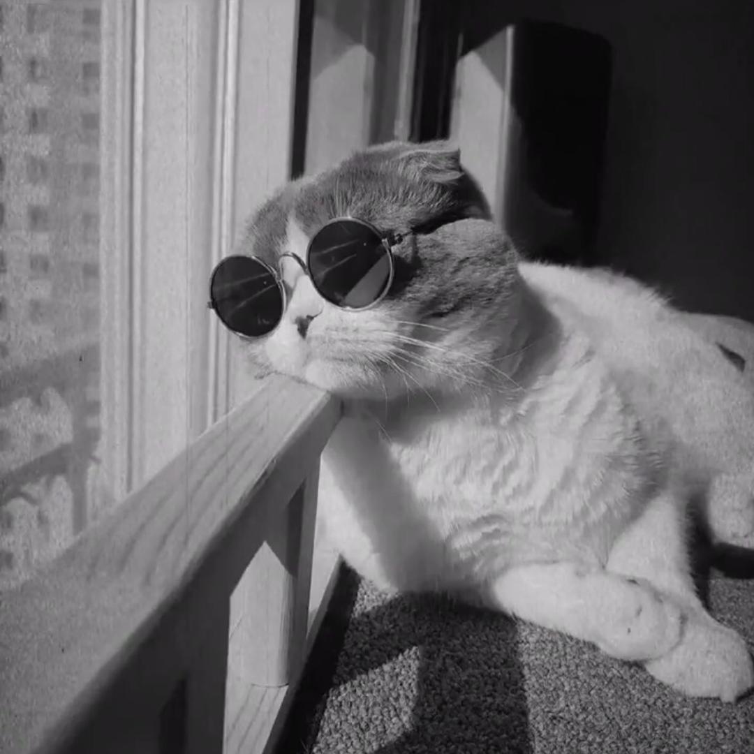 何但州婧熠专卖店