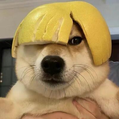 下雨天 ㅤ     ㅤ     ㅤ