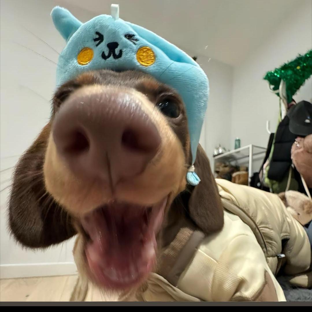 文山花予你花艺