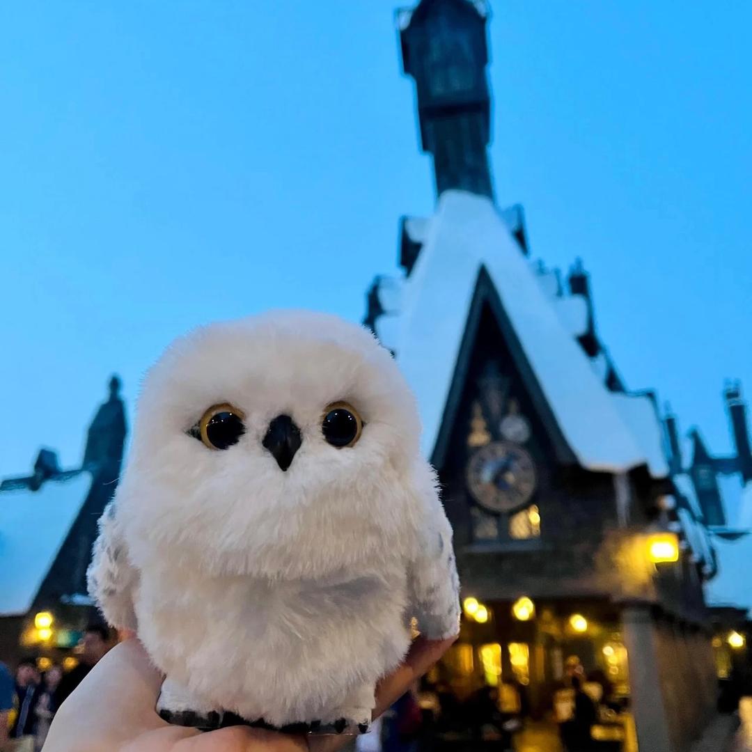 （环球）管家服务🥇