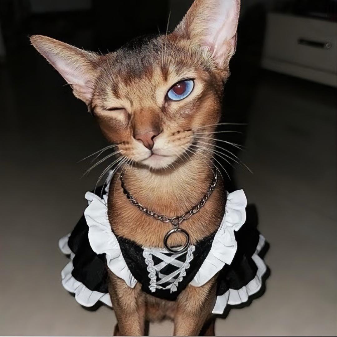 读书好累能不能休息