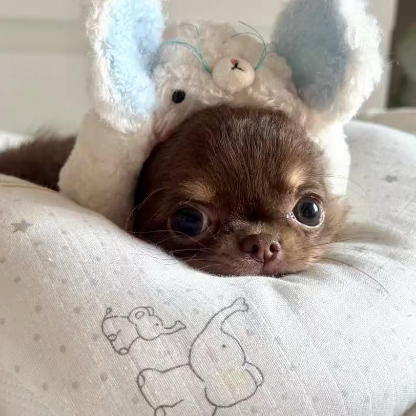 小兰要骑车🏍️