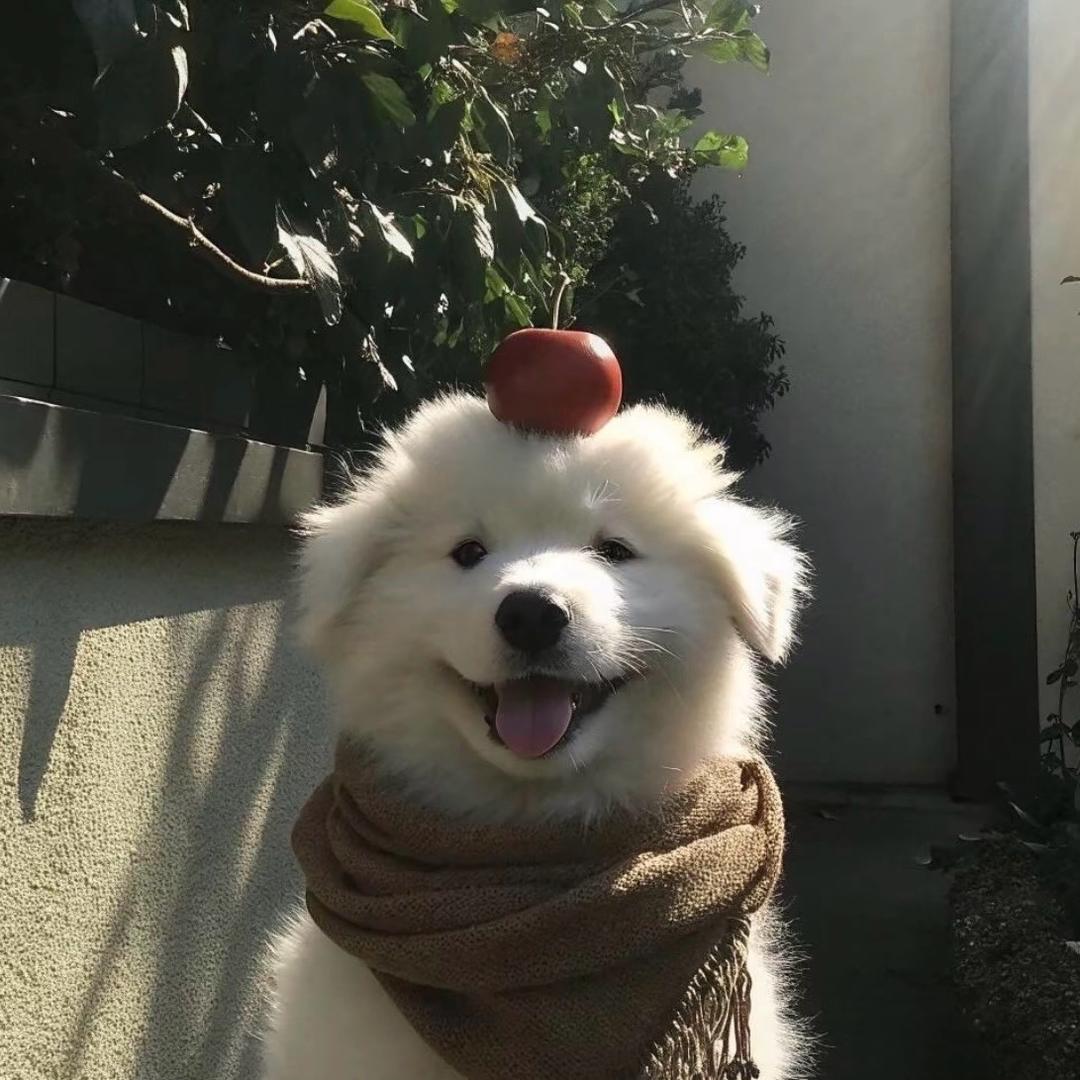 星✨