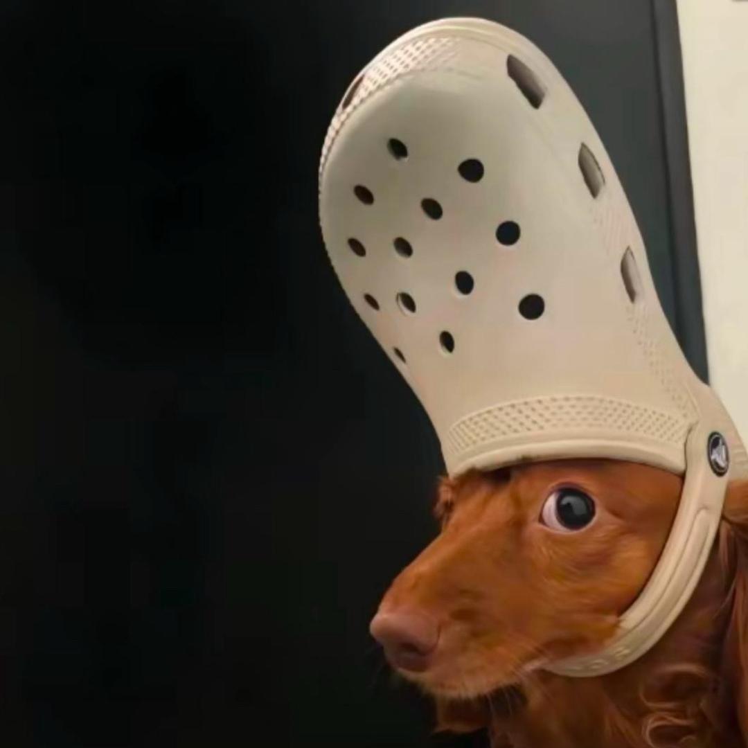 多读书多看报
