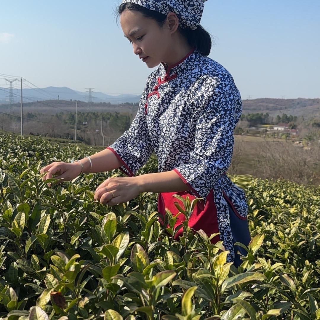 白衣村干部（小乐）