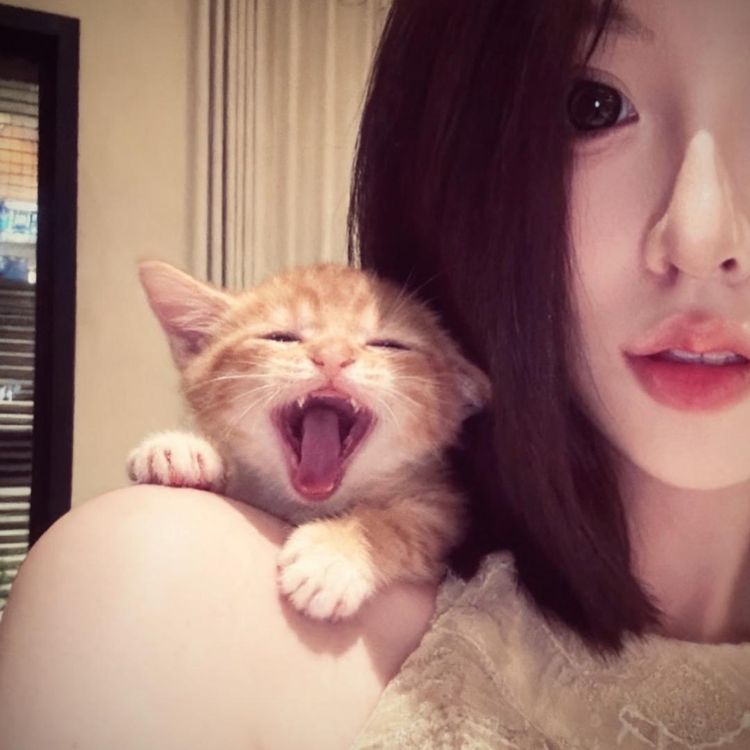 太乙•!•