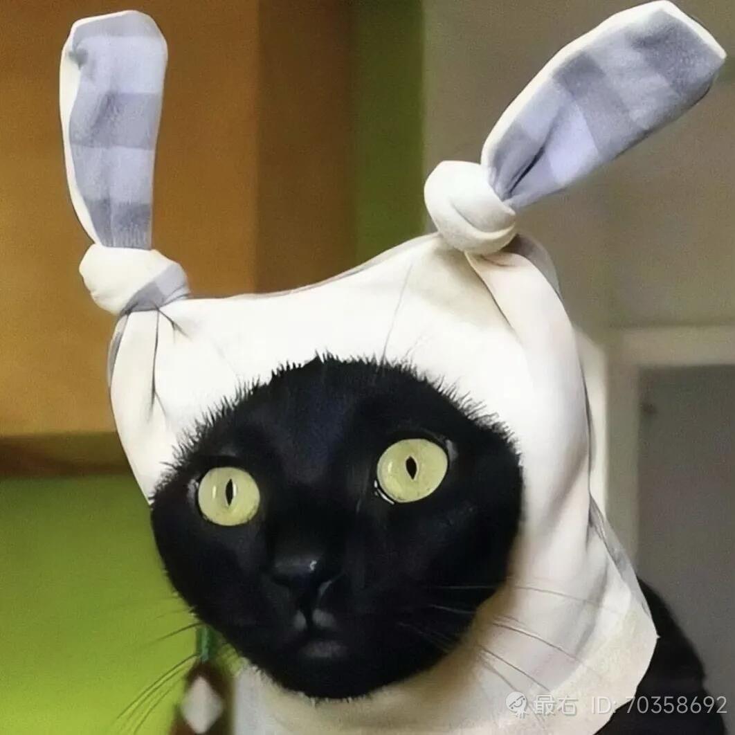 呱呱大王