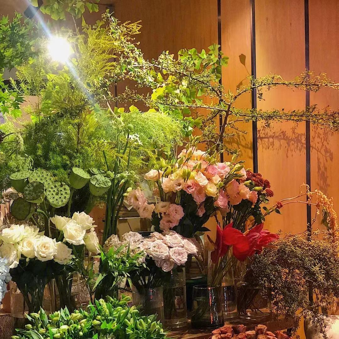 四季森林绿植基地