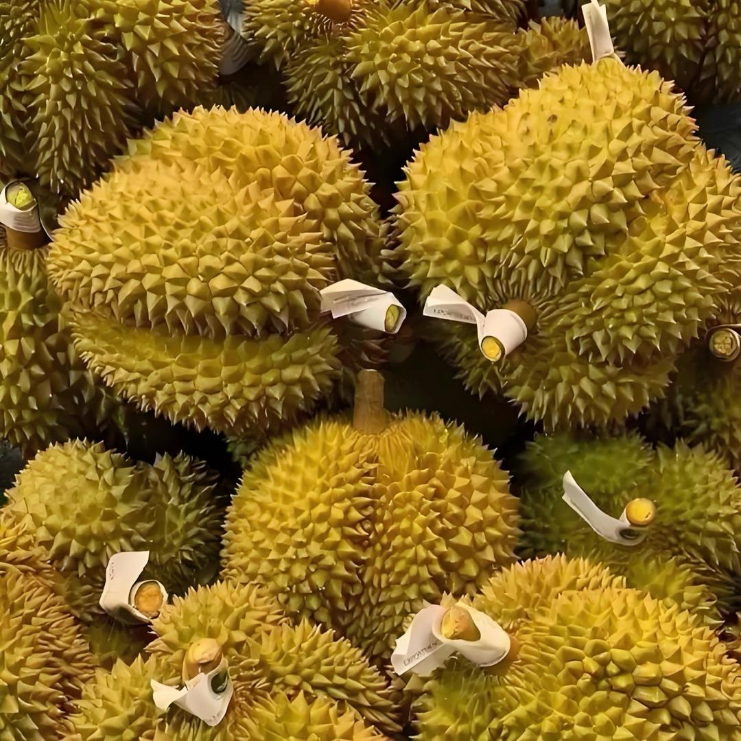 小高手挑 泰国金枕