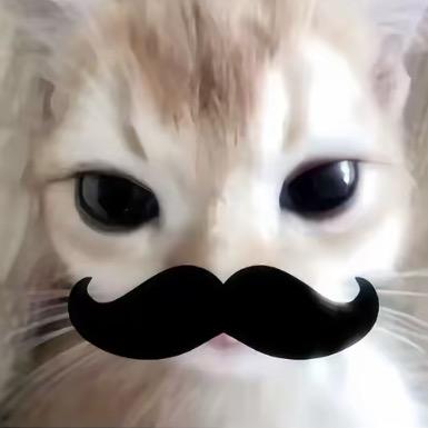 呆郁（苦命上学版）