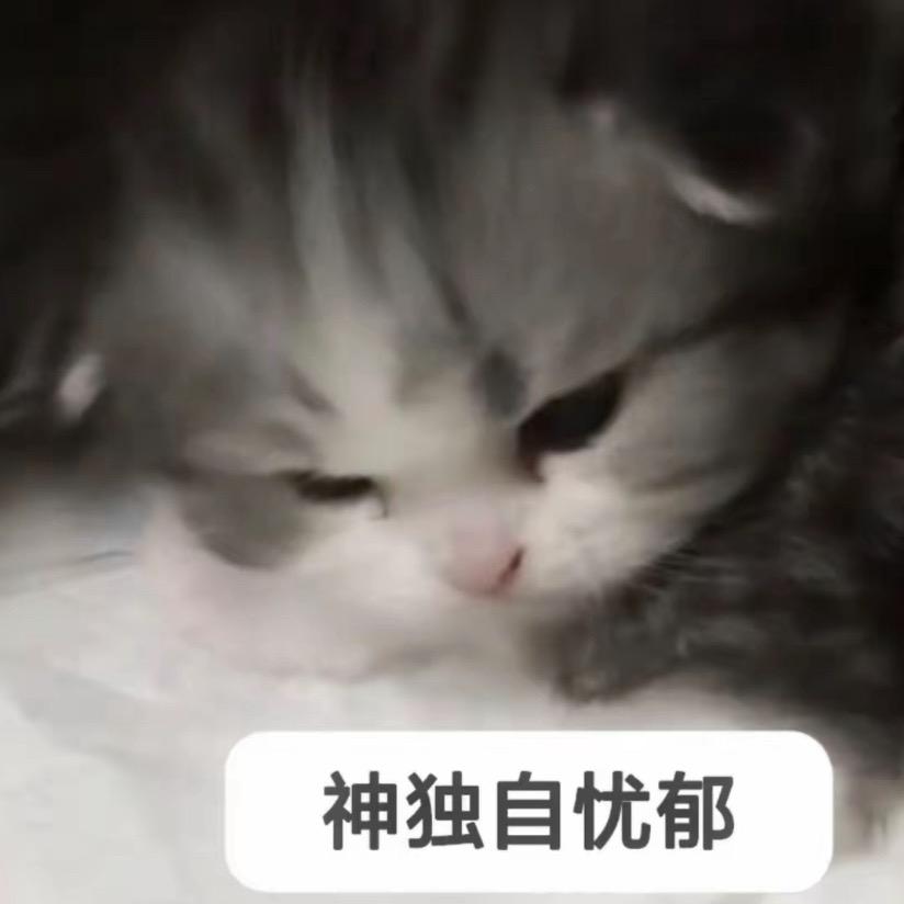 老公假死留给我百亿资产