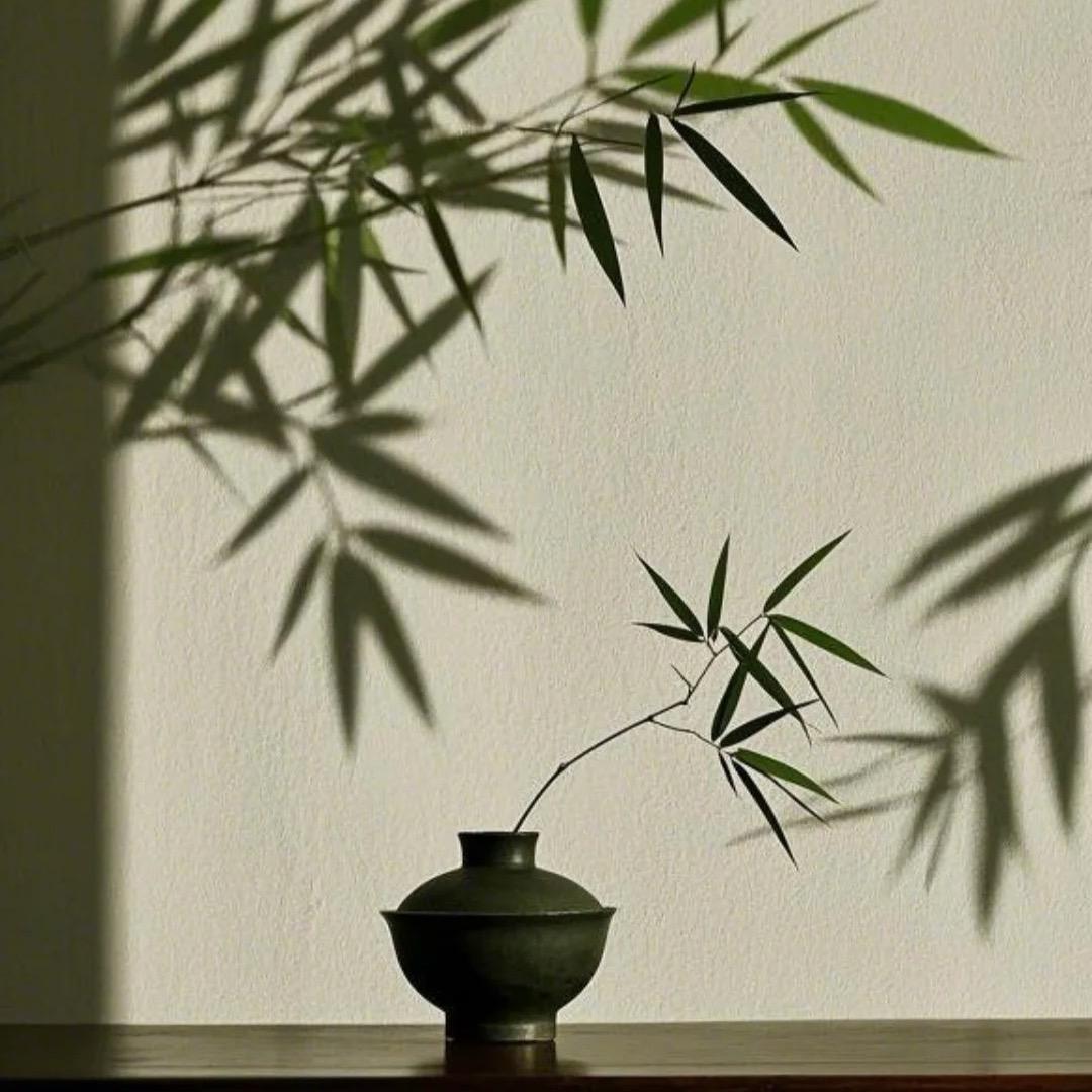石林居士