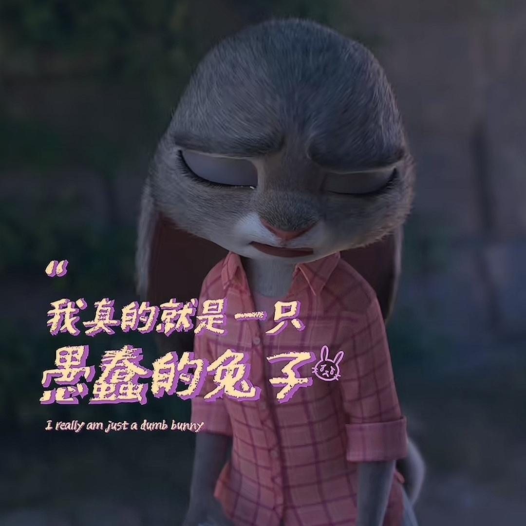 请带带我们