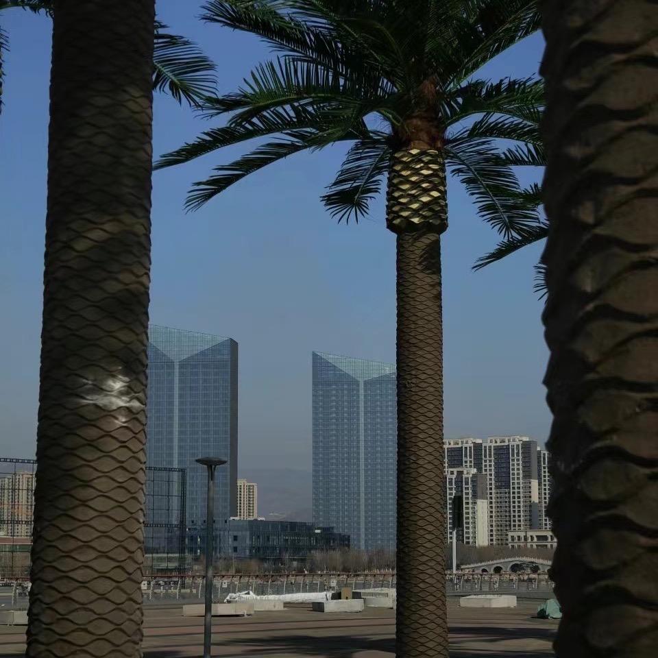 清徐县东湖国际大平层