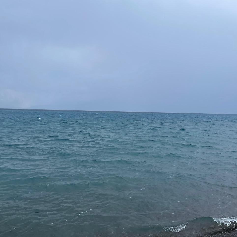 巴黎玫瑰