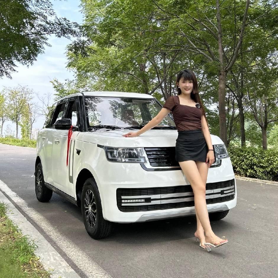 翝伟新能源四轮代步车-小丽