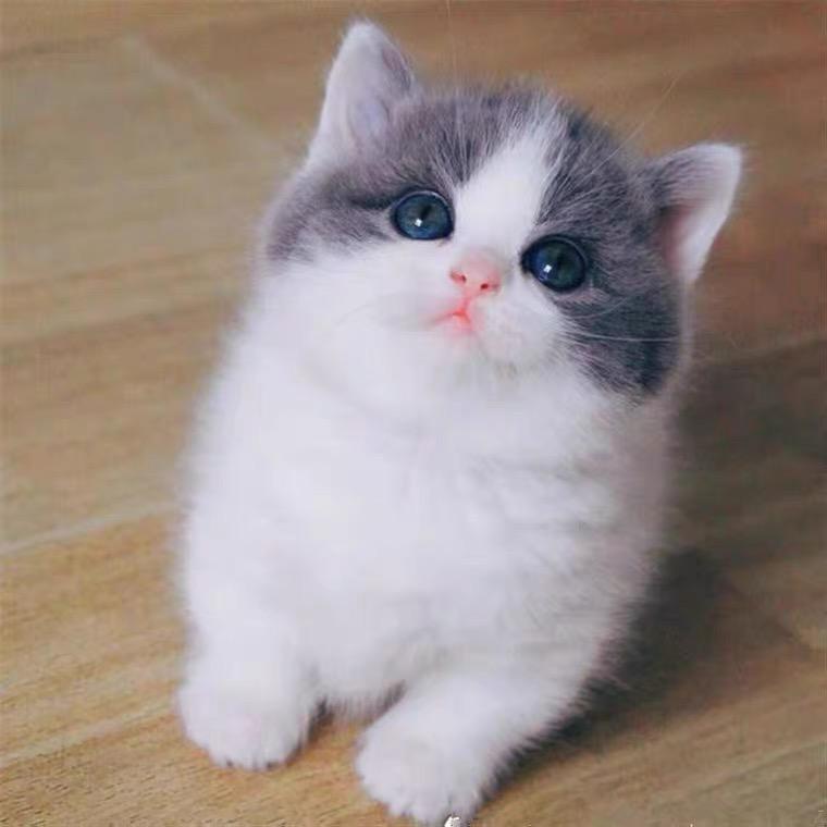 我开心就好