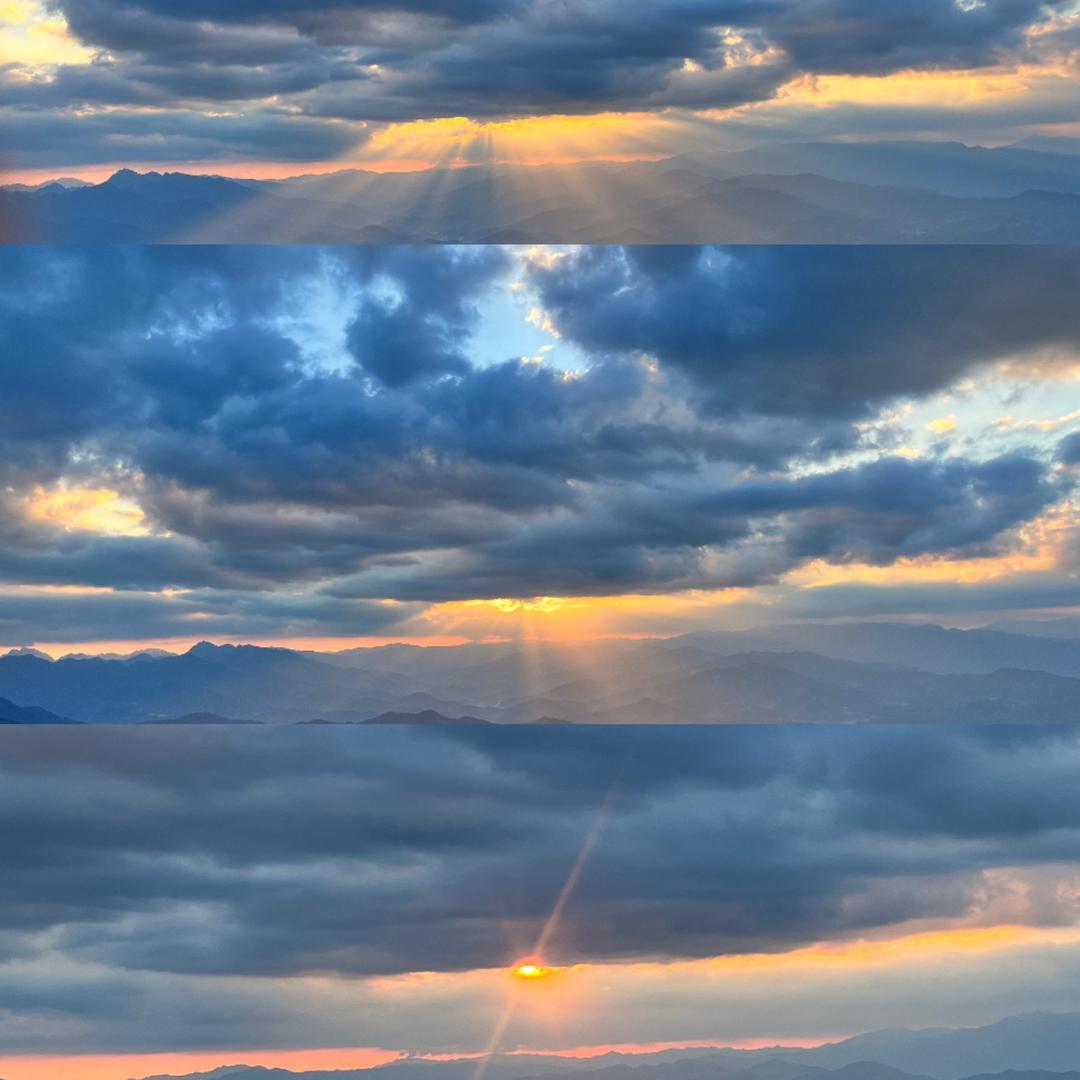 一颗会开花的树