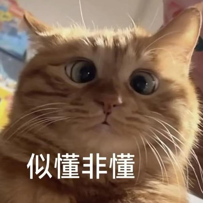 看到我请叫我去学习