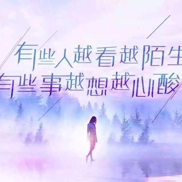 漂泊的叶大师