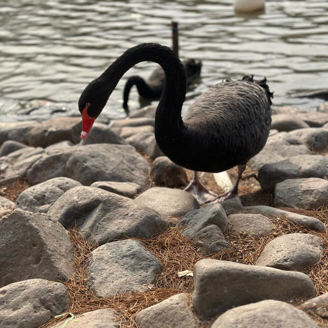 孟百万的故事🌞