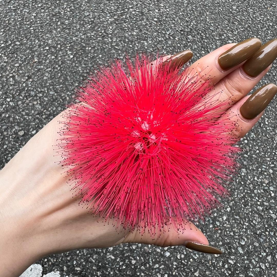 芊芊