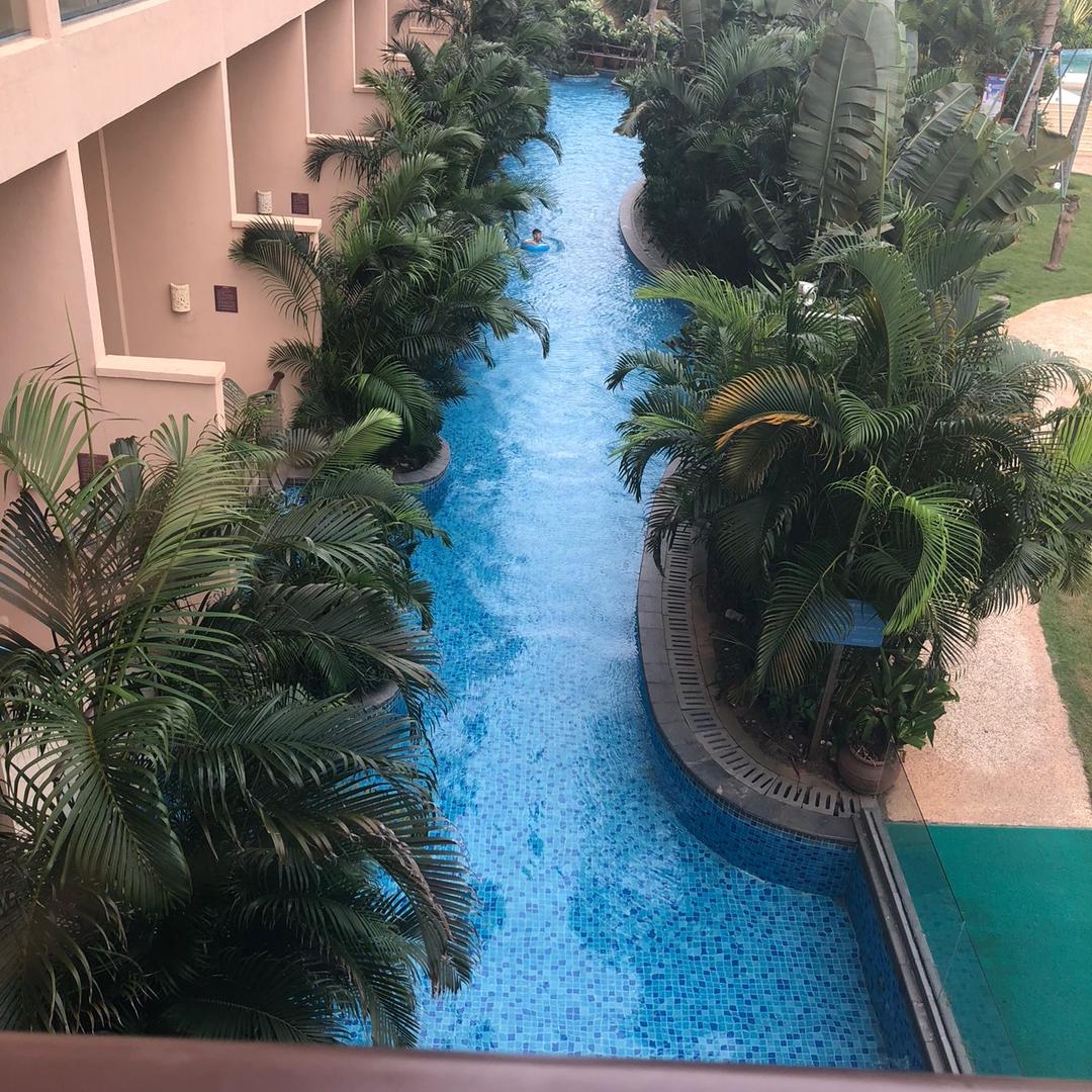 苏打夹心