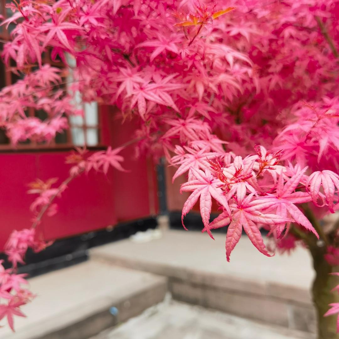 筝雨欣然
