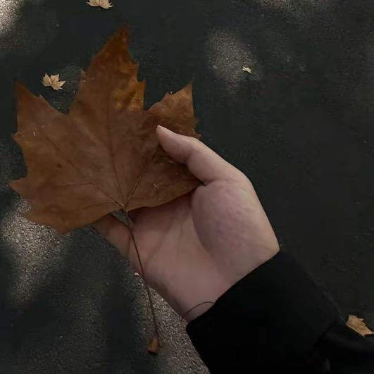 一轮游